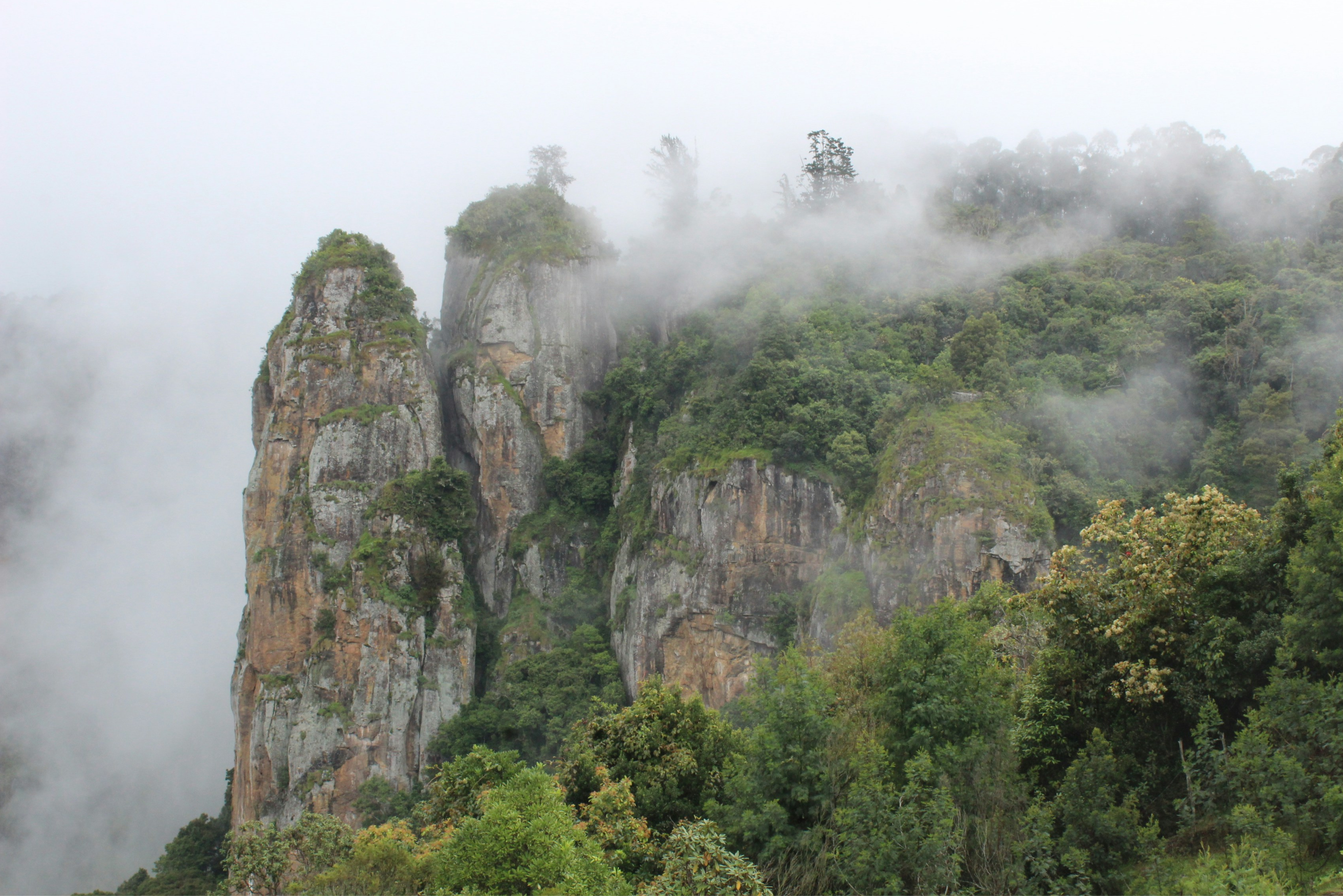 Kodaikanal